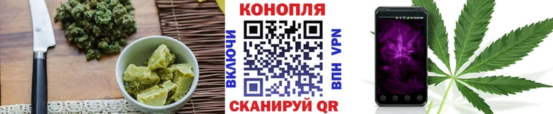 Canna-Cookies марихуана  Балтийск 