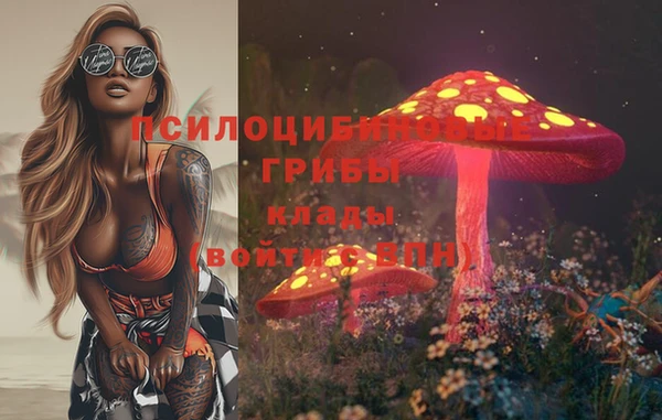 СК Нижний Тагил