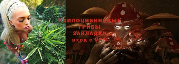СК Нижний Тагил
