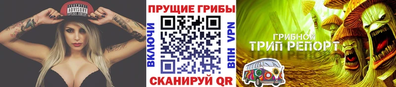 Псилоцибиновые грибы мухоморы  Балтийск 