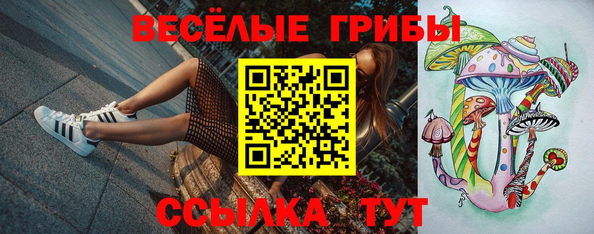 Псилоцибиновые грибы мицелий Балтийск