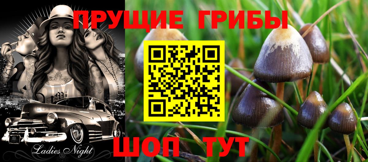 Галлюциногенные грибы мухоморы  Псилоцибиновые грибы Magic Shrooms  Балтийск 