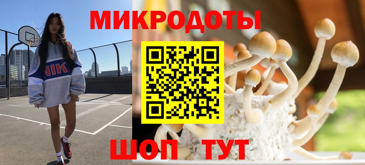Балтийск  Псилоцибиновые грибы MAGIC MUSHROOMS  Вход с VPN 